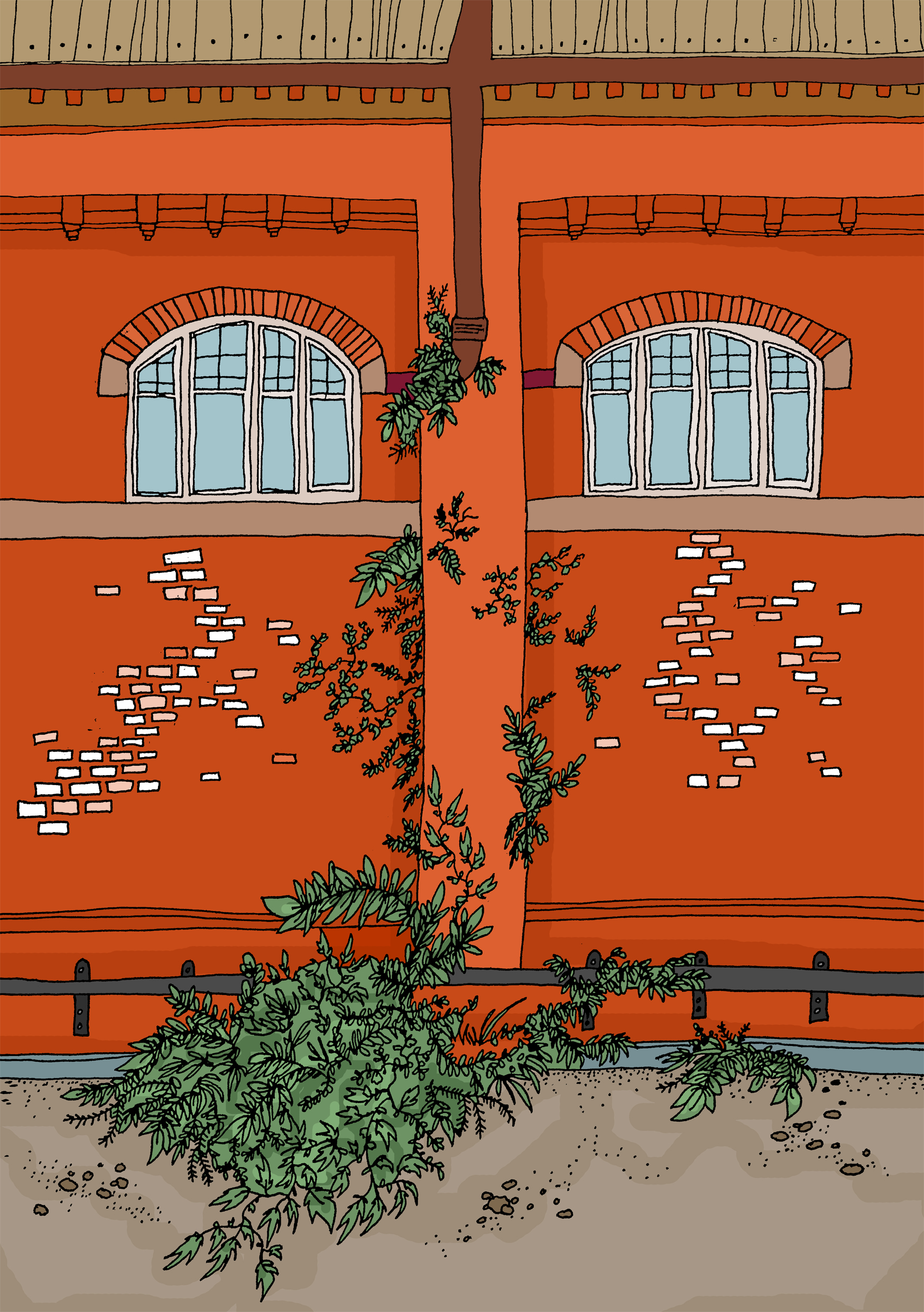 illustration of arched windows within Darlington station with plants growing up the wall